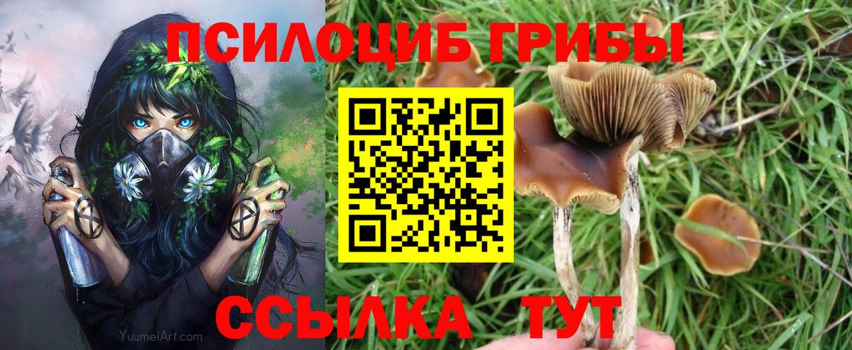 Галлюциногенные грибы ЛСД Новошахтинск