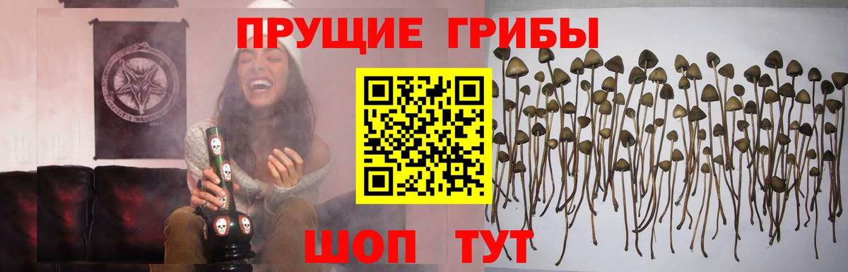 Новошахтинск  Галлюциногенные грибы Cubensis  Галлюциногенные грибы мухоморы  Вход с VPN 